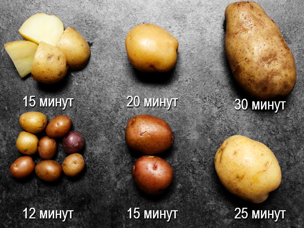 Как и сколько варить картофель для разных блюд