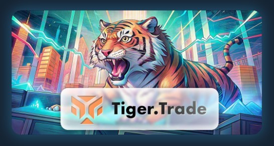 Возможности платформы Tiger.com: Инновации и уникальные решения